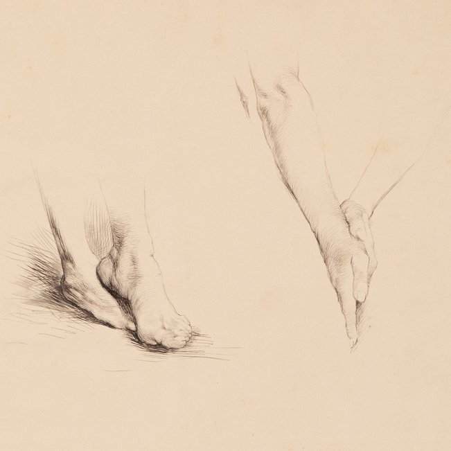 Claire Rops-Demolder  - Études de pieds et de mains 