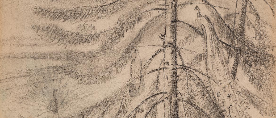Salon du dessin / 25 - 30 mars 2026